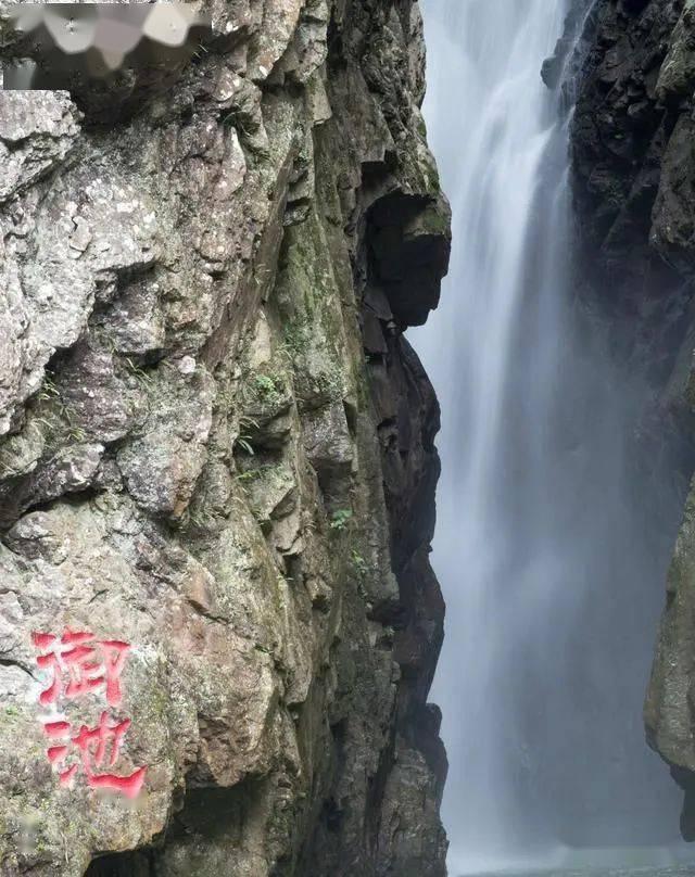 探索知识星球平台-为什么要马上去做自己想做的事情?